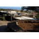 Properties for Sale_La Villa a Pantelleria in Le Marche_23
